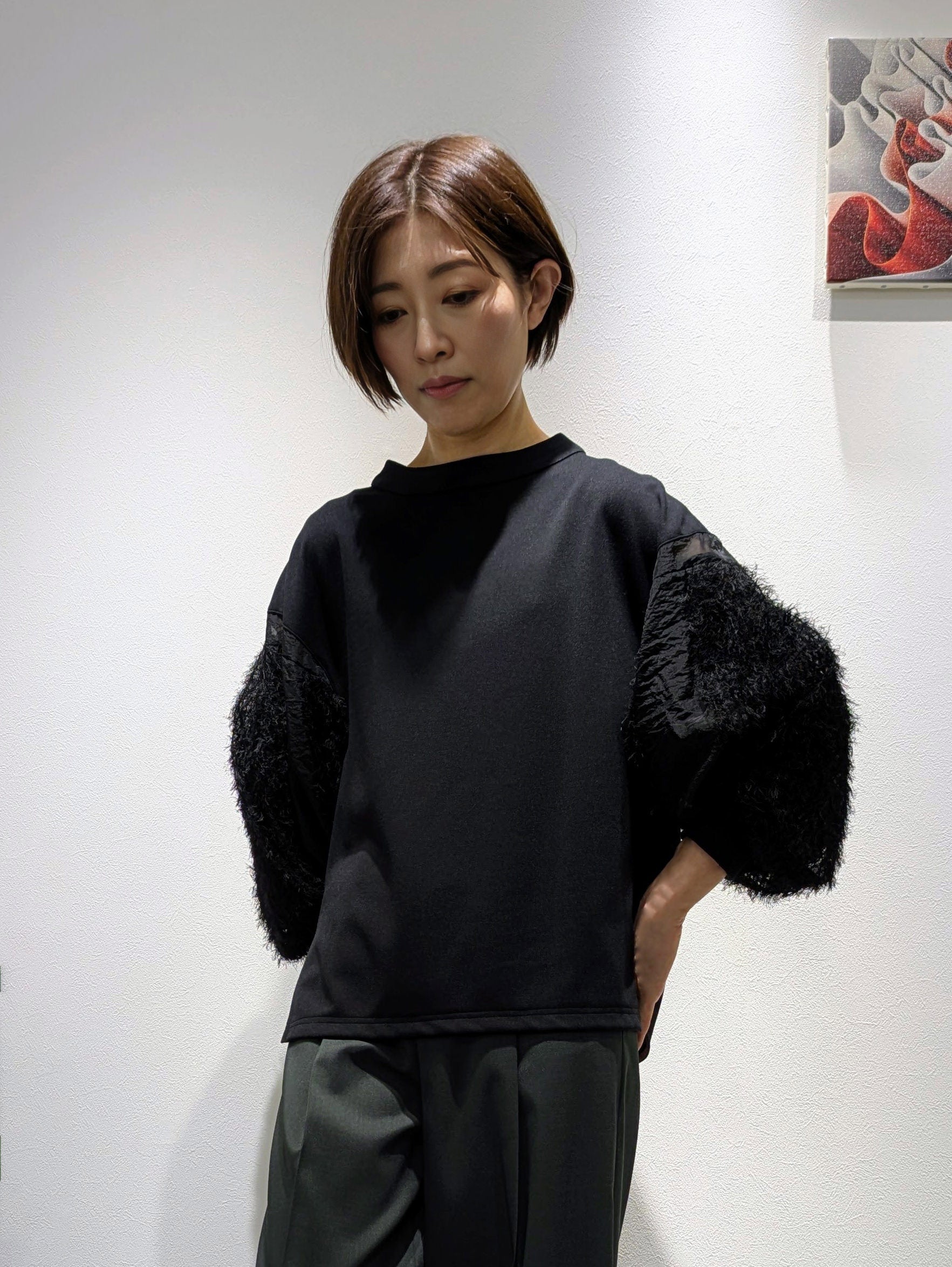 Jacquard Sleeve Pullover